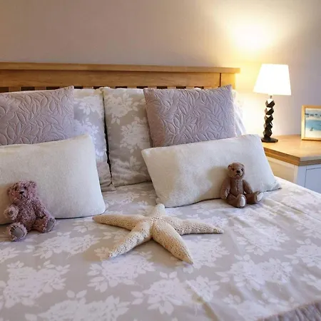 Host & - View Point *